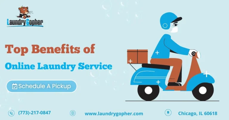 Read more about the article Top Benefits of Online Laundry Service 